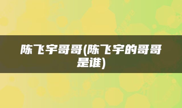 陈飞宇哥哥(陈飞宇的哥哥是谁)