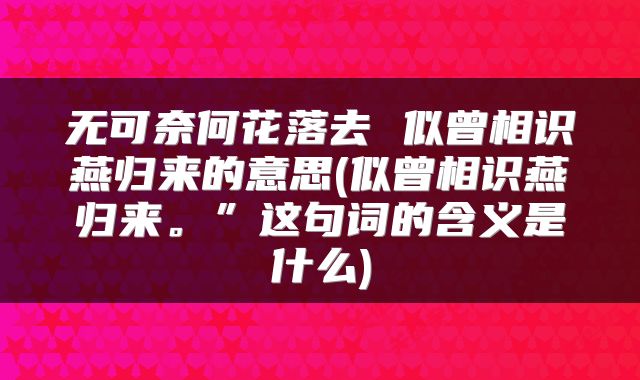 无可奈何花落去 似曾相识燕归来的意思(似曾相识燕归来。”这句词的含义是什么)