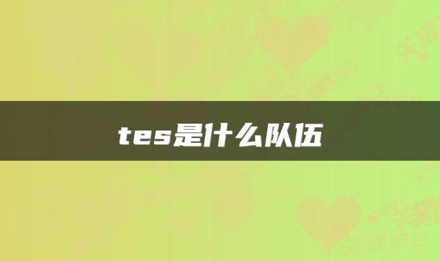 tes是什么队伍