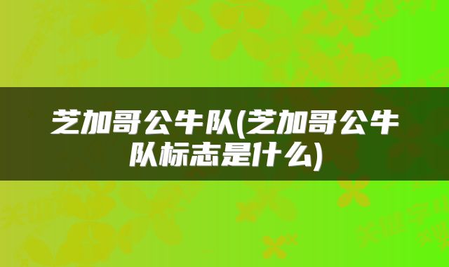 芝加哥公牛队(芝加哥公牛队标志是什么)