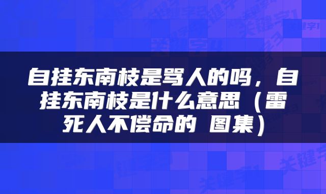 自挂东南枝是骂人的吗，自挂东南枝是什么意思（雷死人不偿命的囧图集）