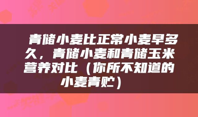  青储小麦比正常小麦早多久，青储小麦和青储玉米营养对比（你所不知道的小麦青贮） 