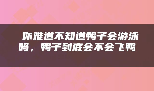  你难道不知道鸭子会游泳吗，鸭子到底会不会飞鸭 