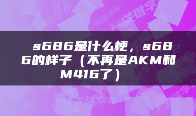  s686是什么梗，s686的样子（不再是AKM和M416了） 