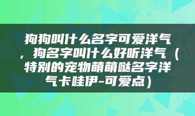 狗狗叫什么名字可爱洋气，狗名字叫什么好听洋气（特别的宠物萌萌哒名字洋气卡哇伊-可爱点）