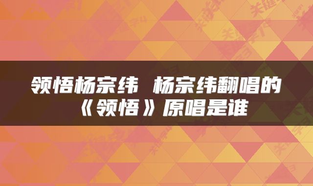 领悟杨宗纬 杨宗纬翻唱的《领悟》原唱是谁