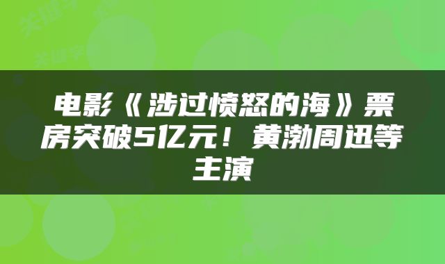 电影《涉过愤怒的海》票房突破5亿元!黄渤周迅等主演