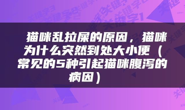  猫咪乱拉屎的原因，猫咪为什么突然到处大小便（常见的5种引起猫咪腹泻的病因） 