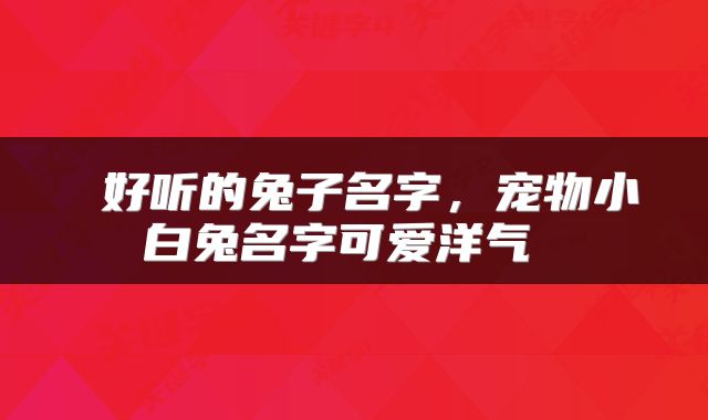  好听的兔子名字，宠物小白兔名字可爱洋气 