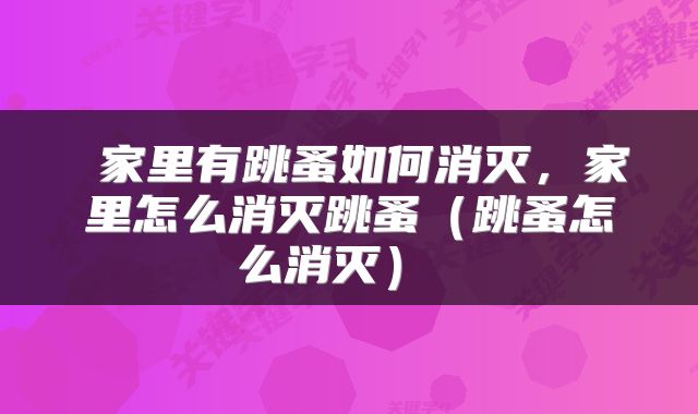 家里有跳蚤如何消灭,家里怎么消灭跳蚤(跳蚤怎么消灭)