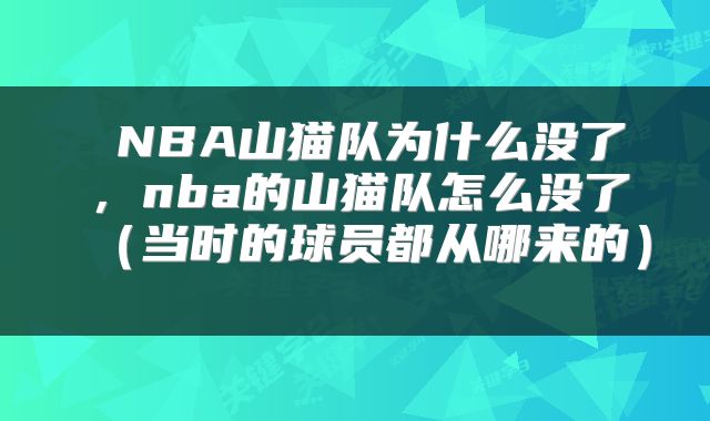  NBA山猫队为什么没了，nba的山猫队怎么没了（当时的球员都从哪来的） 