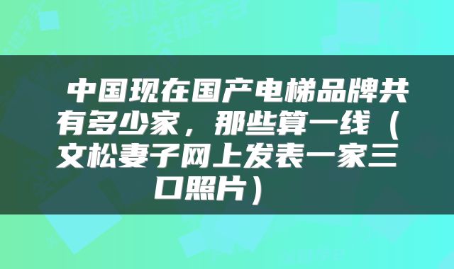  中国现在国产电梯品牌共有多少家，那些算一线（文松妻子网上发表一家三口照片） 