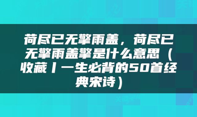 荷尽已无擎雨盖，荷尽已无擎雨盖擎是什么意思（收藏丨一生必背的50首经典宋诗）