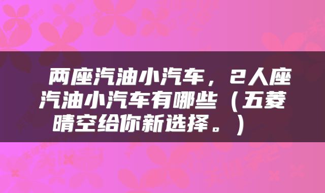  两座汽油小汽车，2人座汽油小汽车有哪些（五菱晴空给你新选择。） 