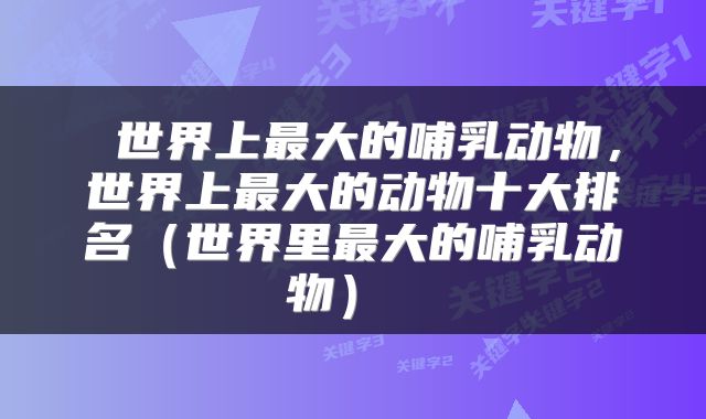  世界上最大的哺乳动物，世界上最大的动物十大排名（世界里最大的哺乳动物） 