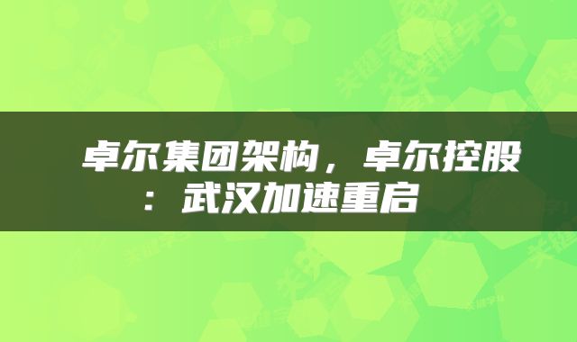  卓尔集团架构，卓尔控股：武汉加速重启 
