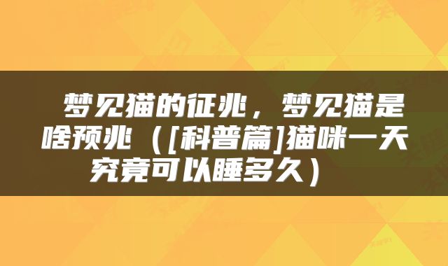  梦见猫的征兆，梦见猫是啥预兆（[科普篇]猫咪一天究竟可以睡多久） 