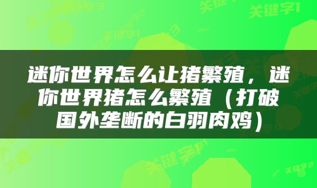 迷你世界怎么让猪繁殖，迷你世界猪怎么繁殖（打破国外垄断的白羽肉鸡）