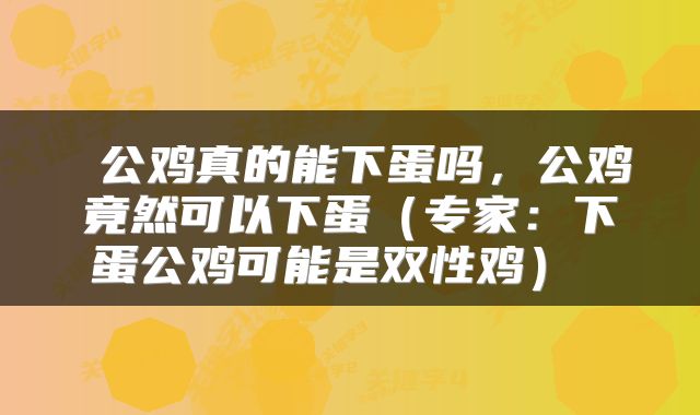  公鸡真的能下蛋吗，公鸡竟然可以下蛋（专家：下蛋公鸡可能是双性鸡） 