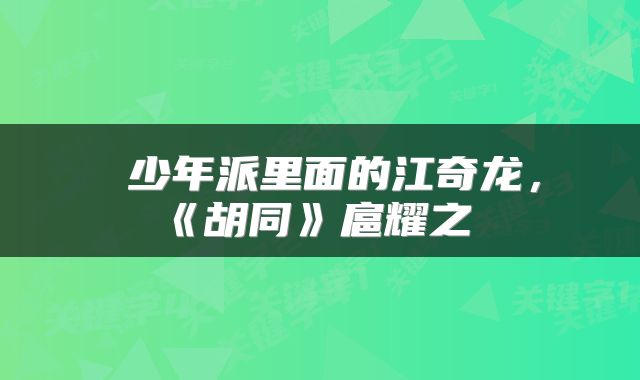  少年派里面的江奇龙，《胡同》扈耀之 