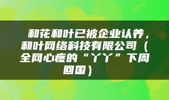  和花和叶已被企业认养，和叶网络科技有限公司（全网心疼的“丫丫”下周回国） 