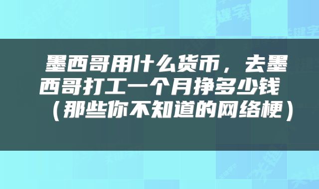  墨西哥用什么货币，去墨西哥打工一个月挣多少钱（那些你不知道的网络梗） 