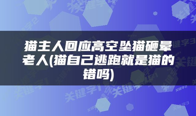 猫主人回应高空坠猫砸晕老人(猫自己逃跑就是猫的错吗)