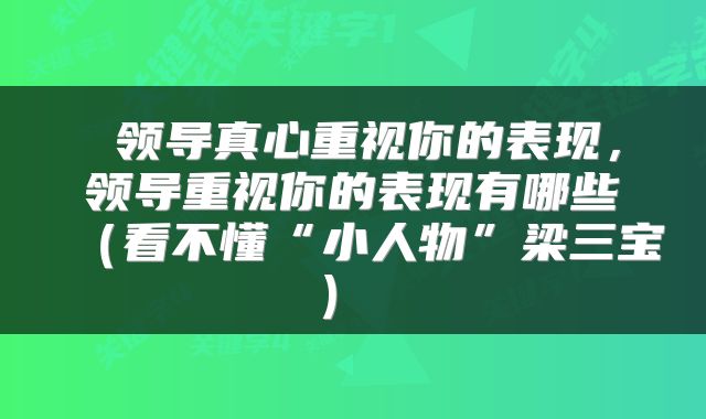  领导真心重视你的表现，领导重视你的表现有哪些（看不懂“小人物”梁三宝） 