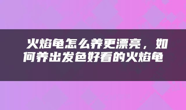  火焰龟怎么养更漂亮，如何养出发色好看的火焰龟 