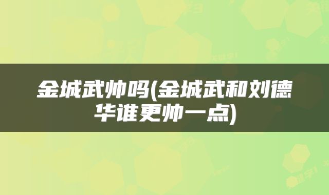 金城武帅吗(金城武和刘德华谁更帅一点)