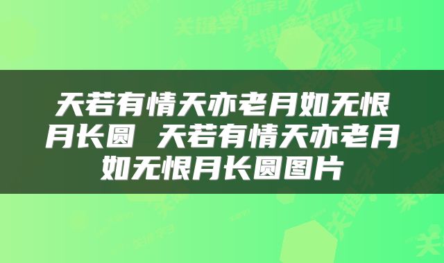 天若有情天亦老月如无恨月长圆 天若有情天亦老月如无恨月长圆图片