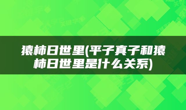 猿柿日世里(平子真子和猿柿日世里是什么关系)
