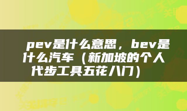  pev是什么意思，bev是什么汽车（新加坡的个人代步工具五花八门） 