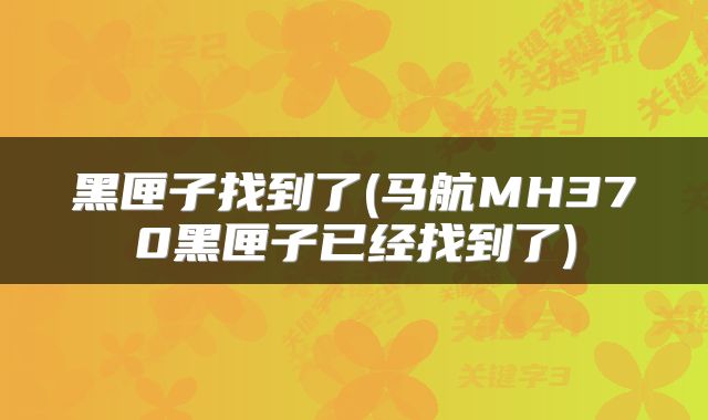 黑匣子找到了(马航MH370黑匣子已经找到了)