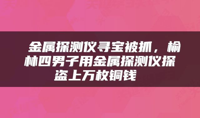  金属探测仪寻宝被抓，榆林四男子用金属探测仪探盗上万枚铜钱 