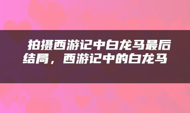  拍摄西游记中白龙马最后结局，西游记中的白龙马 