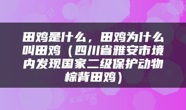 田鸡是什么，田鸡为什么叫田鸡（四川省雅安市境内发现国家二级保护动物棕背田鸡）