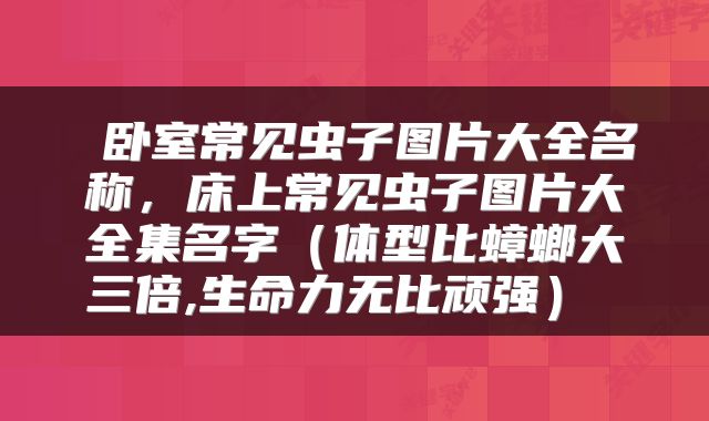  卧室常见虫子图片大全名称，床上常见虫子图片大全集名字（体型比蟑螂大三倍,生命力无比顽强） 