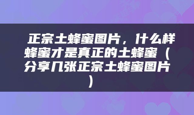 正宗土蜂蜜图片,什么样蜂蜜才是真正的土蜂蜜(分享几张正宗土蜂蜜图片)