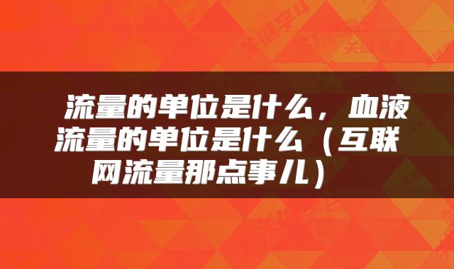  流量的单位是什么，血液流量的单位是什么（互联网流量那点事儿） 