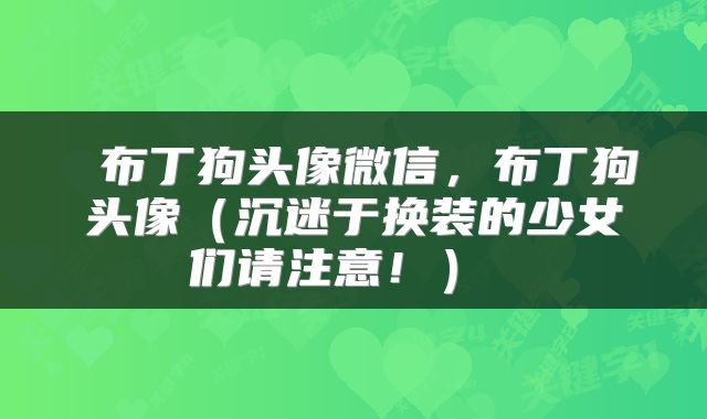  布丁狗头像微信，布丁狗头像（沉迷于换装的少女们请注意！） 