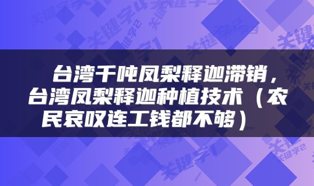  台湾千吨凤梨释迦滞销，台湾凤梨释迦种植技术（农民哀叹连工钱都不够） 