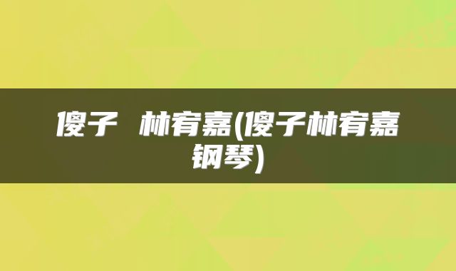 傻子 林宥嘉(傻子林宥嘉钢琴)