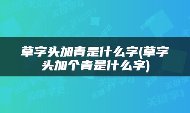 草字头加青是什么字(草字头加个青是什么字)