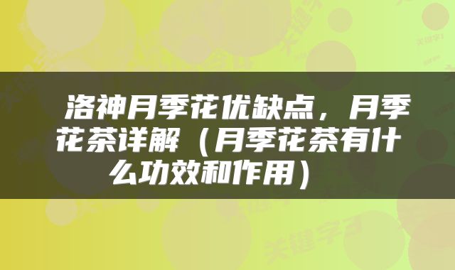 洛神月季花优缺点,月季花茶详解(月季花茶有什么功效和作用)