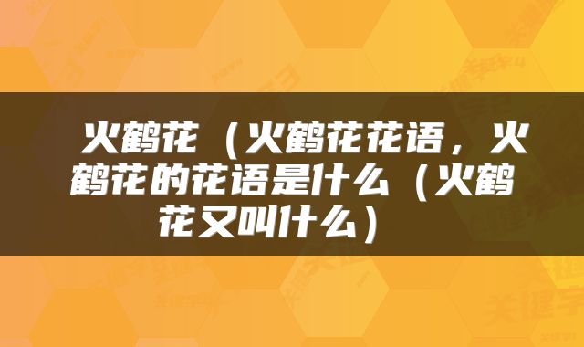  火鹤花（火鹤花花语，火鹤花的花语是什么（火鹤花又叫什么） 
