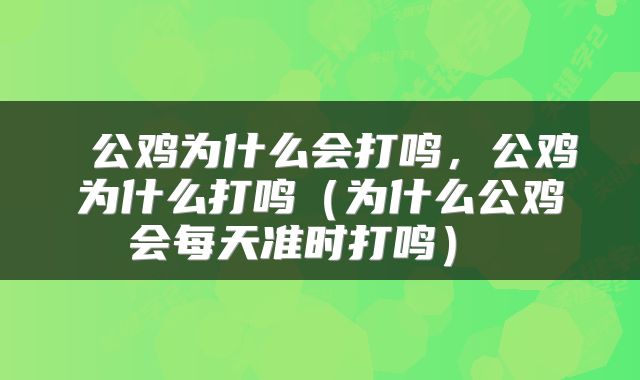公鸡为什么会打鸣,公鸡为什么打鸣(为什么公鸡会每天准时打鸣)