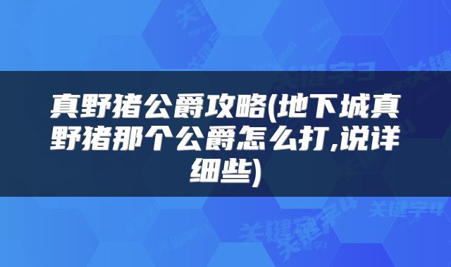 真野猪公爵攻略(地下城真野猪那个公爵怎么打,说详细些)