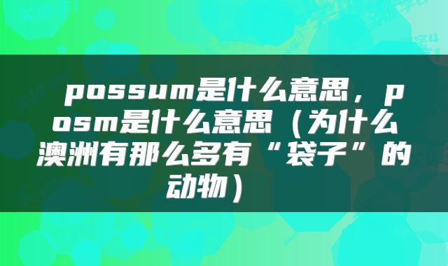  possum是什么意思，posm是什么意思（为什么澳洲有那么多有“袋子”的动物） 