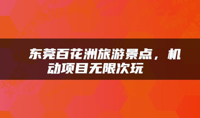  东莞百花洲旅游景点，机动项目无限次玩 